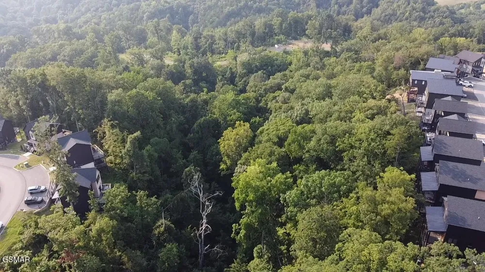 145 Reedmont Way Sevierville, TN 37876