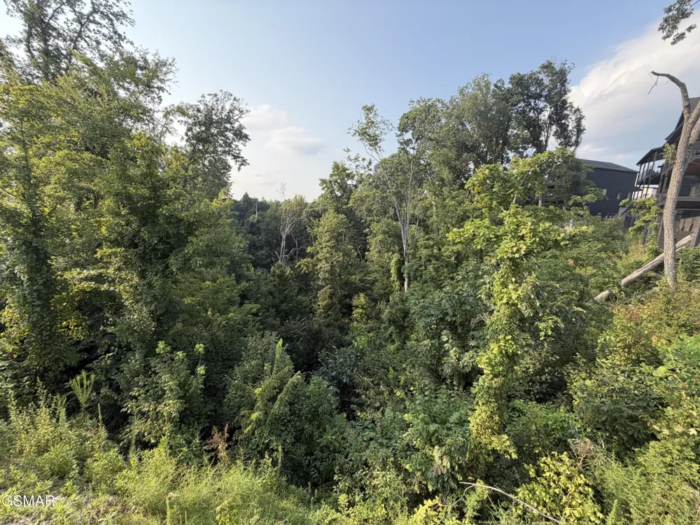 145 Reedmont Way Sevierville, TN 37876