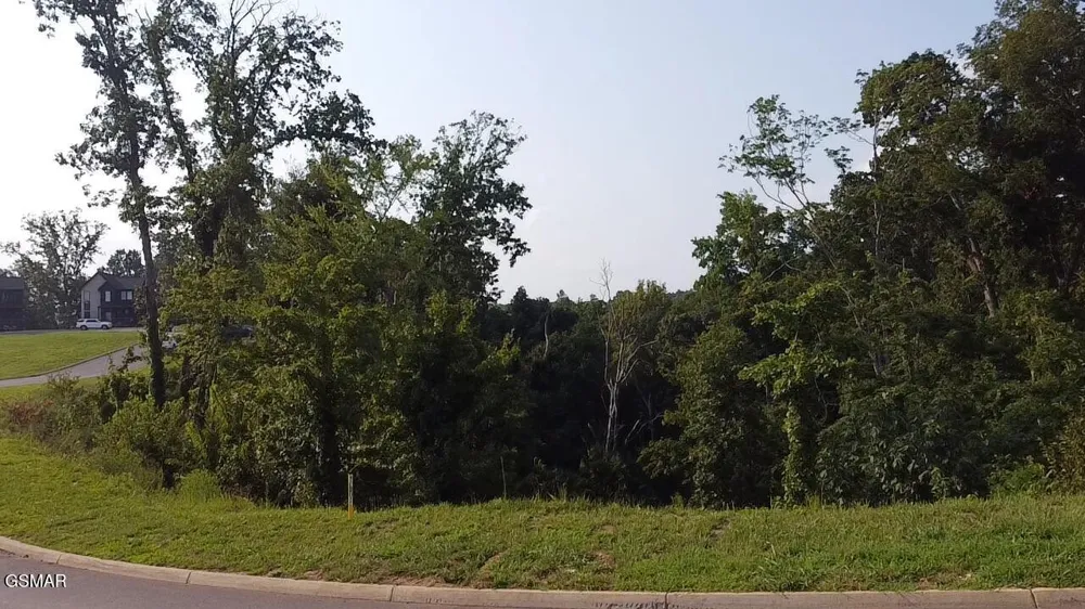 145 Reedmont Way Sevierville, TN 37876