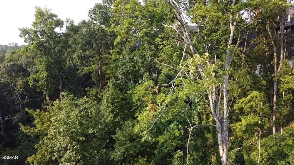 145 Reedmont Way Sevierville, TN 37876