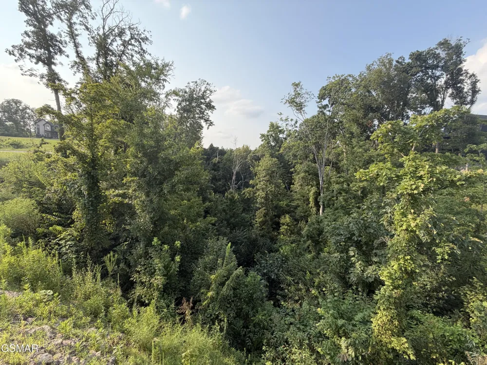 145 Reedmont Way Sevierville, TN 37876