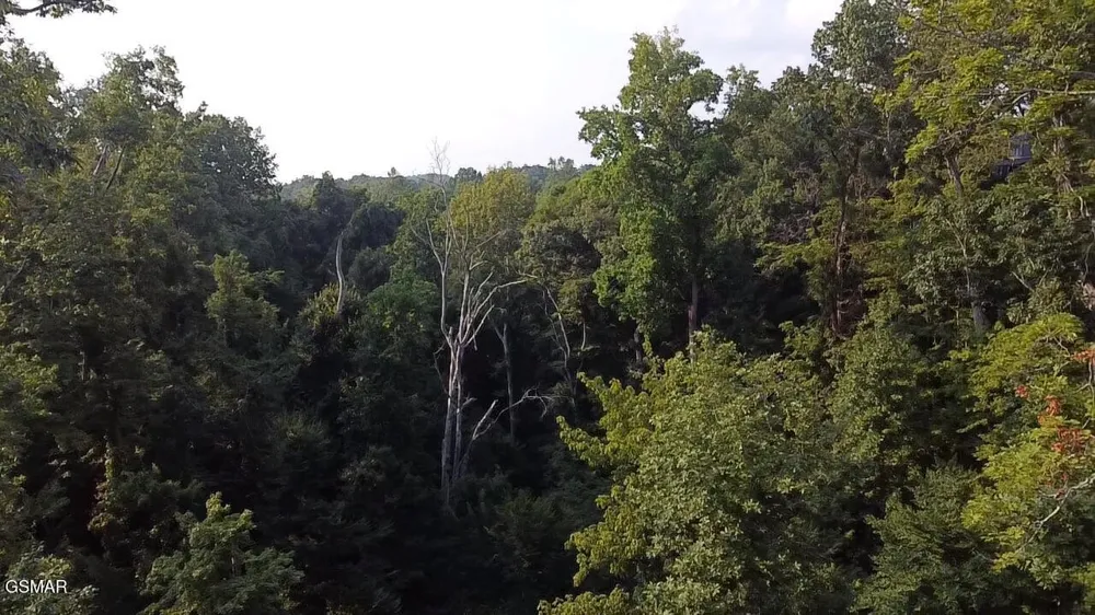 145 Reedmont Way Sevierville, TN 37876