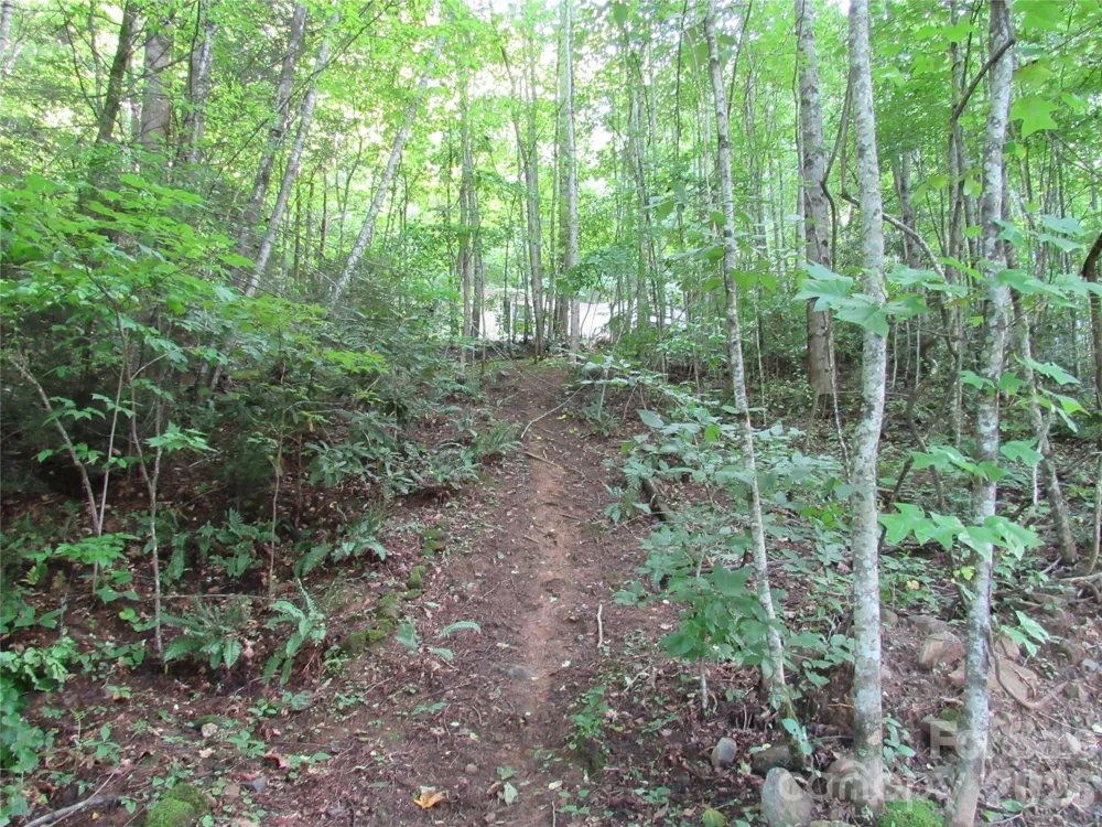 261 Warren Creek Road Candler, NC 28715