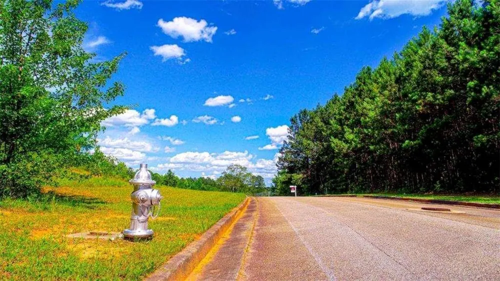 4209 Giverny Boulevard Fairburn, GA 30213