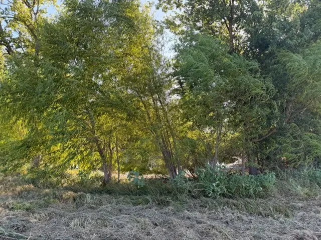 19 County Road 2200 Pecan Gap, TX 75469