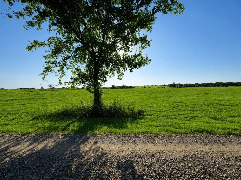 19 County Road 2200 Pecan Gap, TX 75469