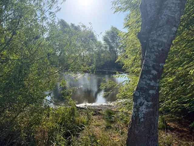 19 County Road 2200 Pecan Gap, TX 75469