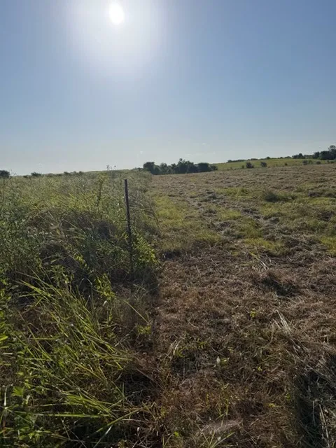 19 County Road 2200 Pecan Gap, TX 75469