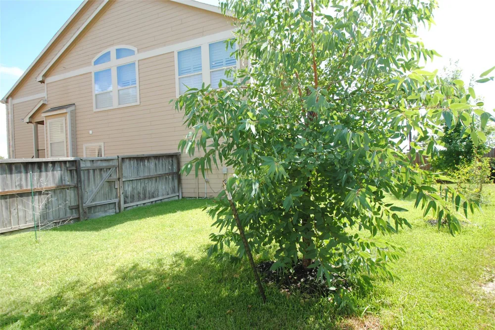 23307 Del Rosso Street Richmond, TX 77406