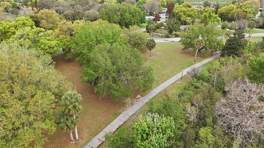 1810 PINEWAY COURT Mount Dora, FL 32757