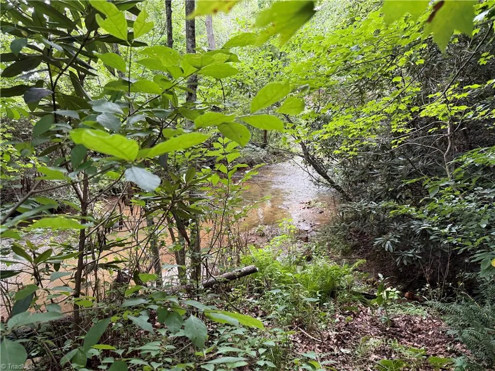 0 Bryant Road Mount Airy, NC 27030