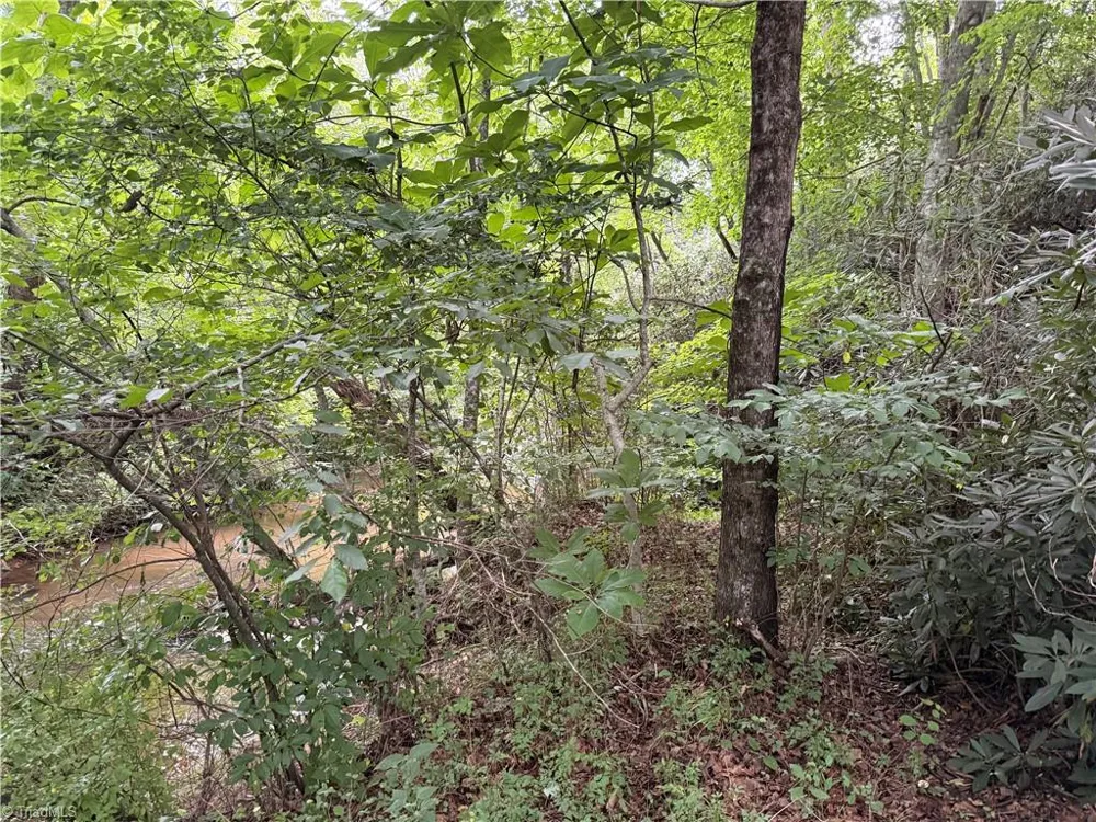 0 Bryant Road Mount Airy, NC 27030