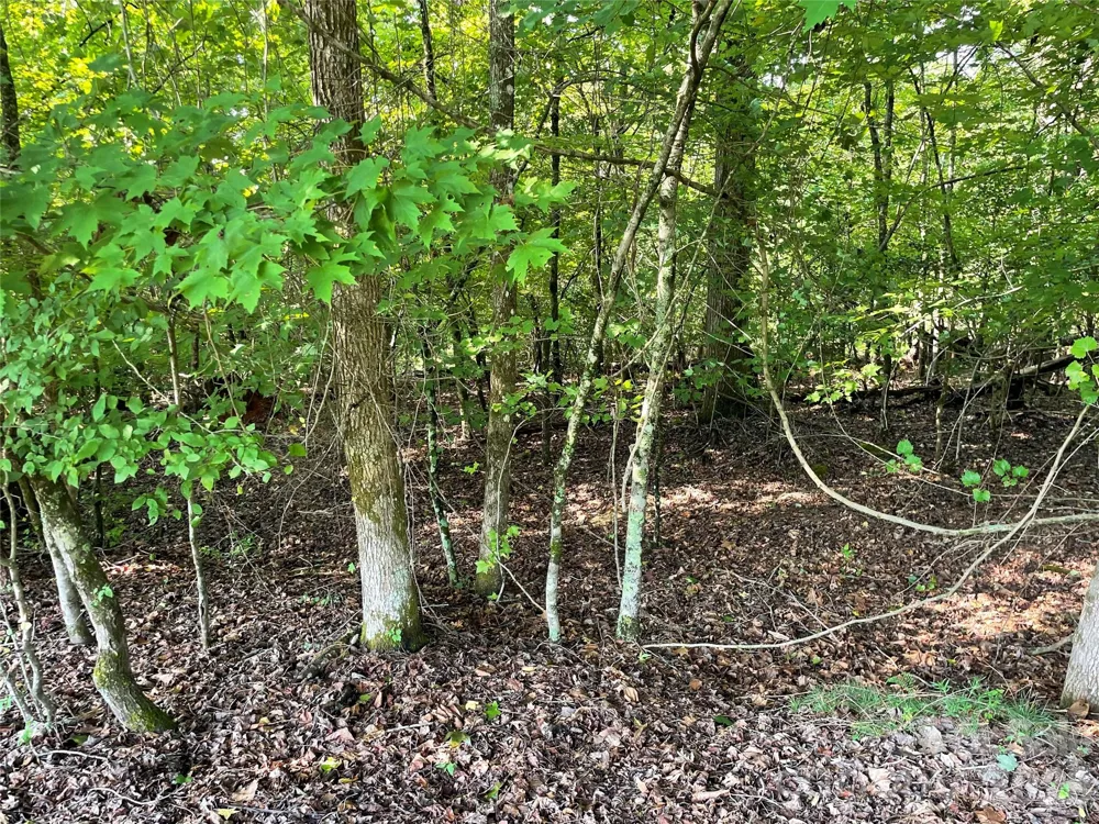 0 River Bend Drive #49 Connelly Springs, NC 28612