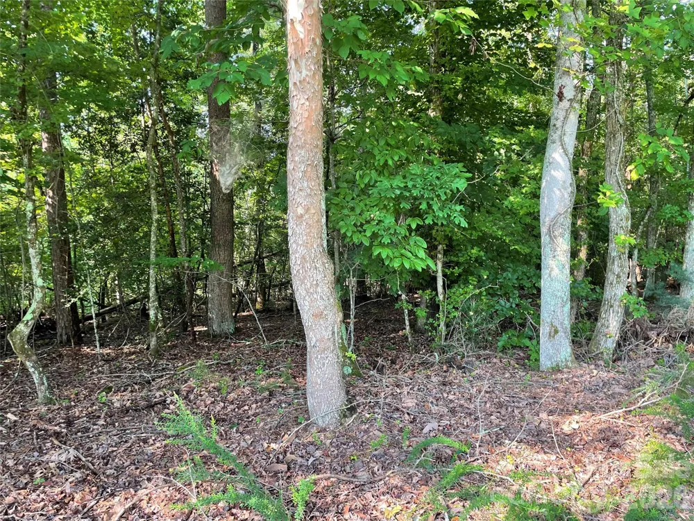 0 River Bend Drive #49 Connelly Springs, NC 28612