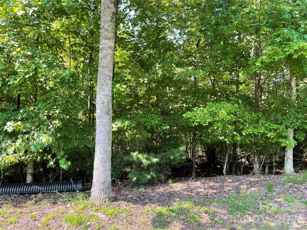 0 River Bend Drive #49 Connelly Springs, NC 28612