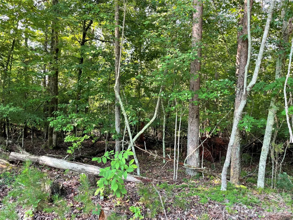 0 River Bend Drive #48 Connelly Springs, NC 28612