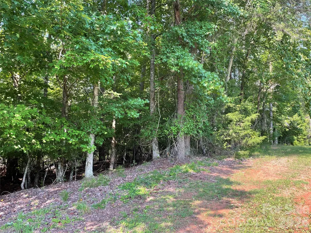 0 River Bend Drive #48 Connelly Springs, NC 28612