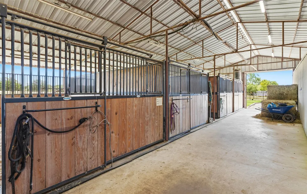 146 Private Road 1525 Bridgeport, TX 76426