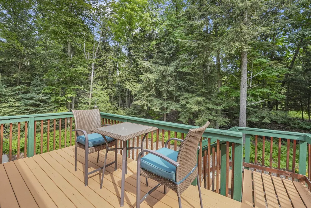 13057 Cherrywood Court Leelanau Township, MI 49670