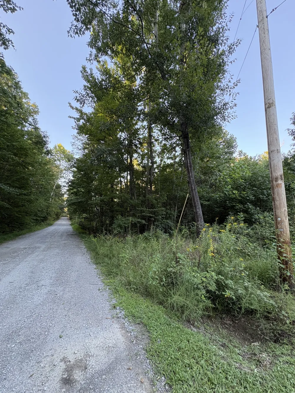 0 Shilow Rd Beechgrove, TN 37018