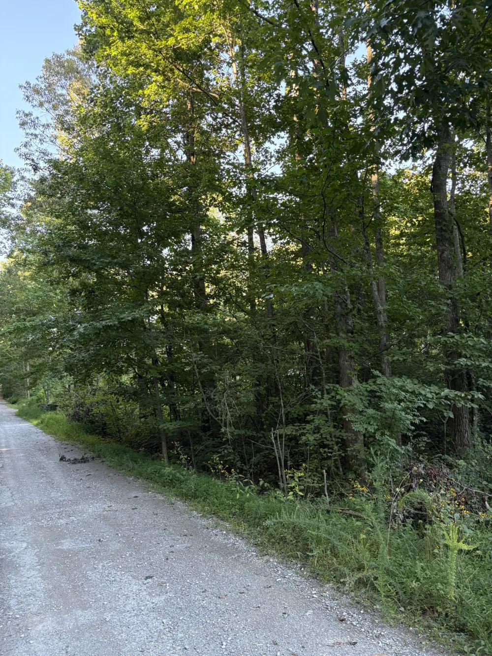 0 Shilow Rd Beechgrove, TN 37018