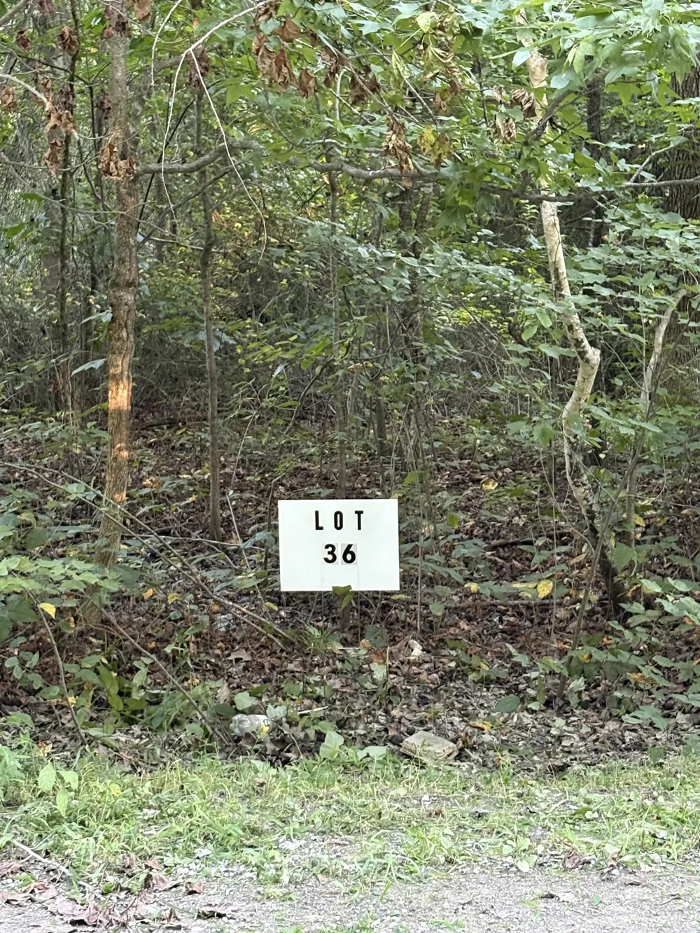 0 Shilow Rd Beechgrove, TN 37018