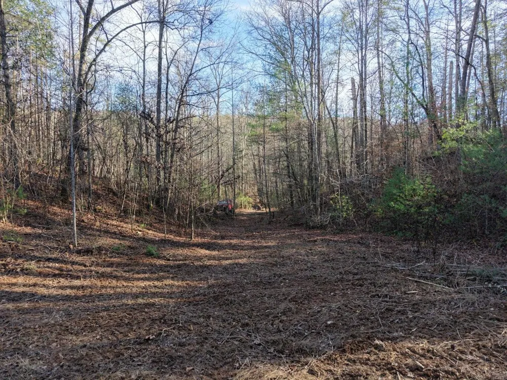 0 Bakers Creek Road Old Fort, TN 37362