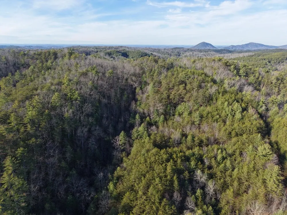 0 Bakers Creek Road Old Fort, TN 37362