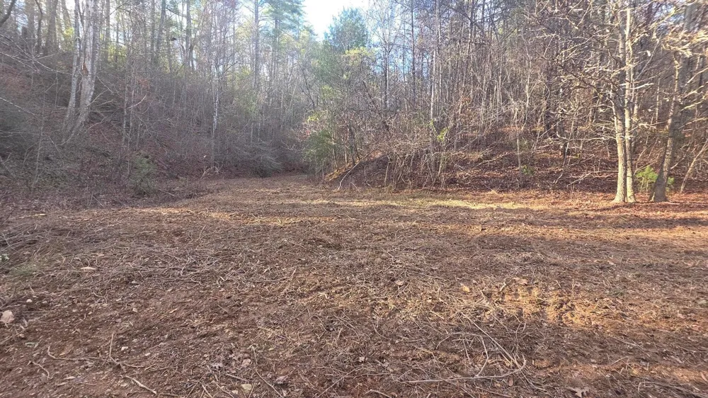0 Bakers Creek Road Old Fort, TN 37362