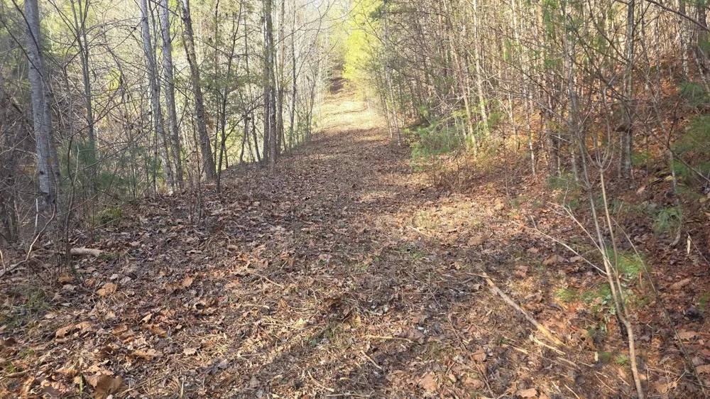 0 Bakers Creek Road Old Fort, TN 37362
