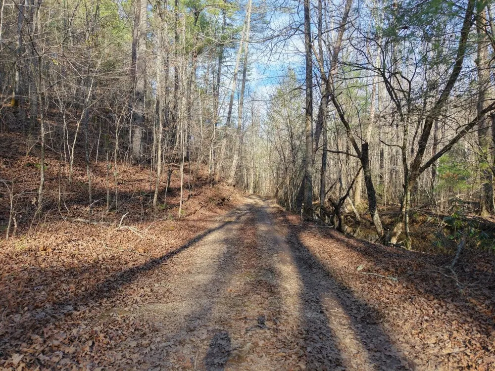 0 Bakers Creek Road Old Fort, TN 37362