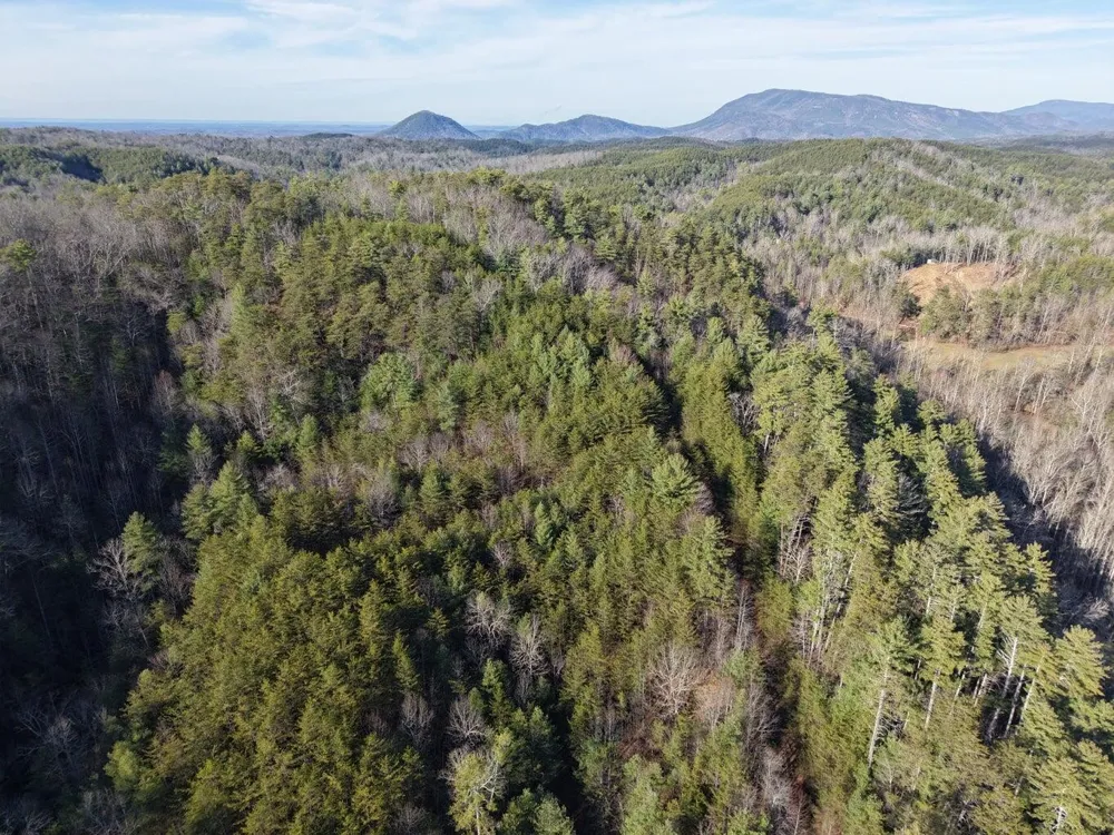0 Bakers Creek Road Old Fort, TN 37362
