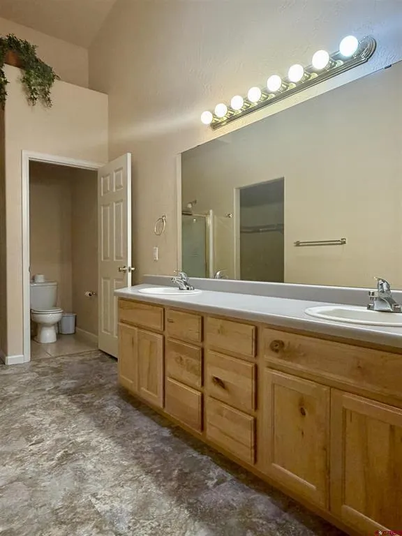 440 SE Old Goat Trail Cedaredge, CO 81413