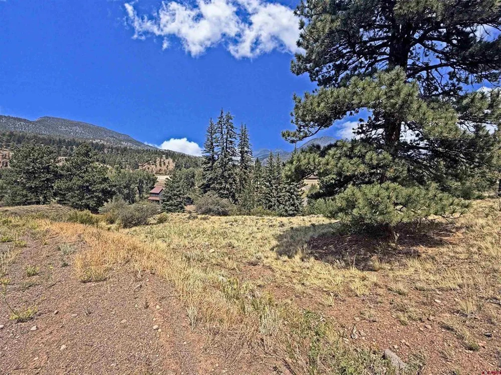 220 Escondida Drive South Fork, CO 81154