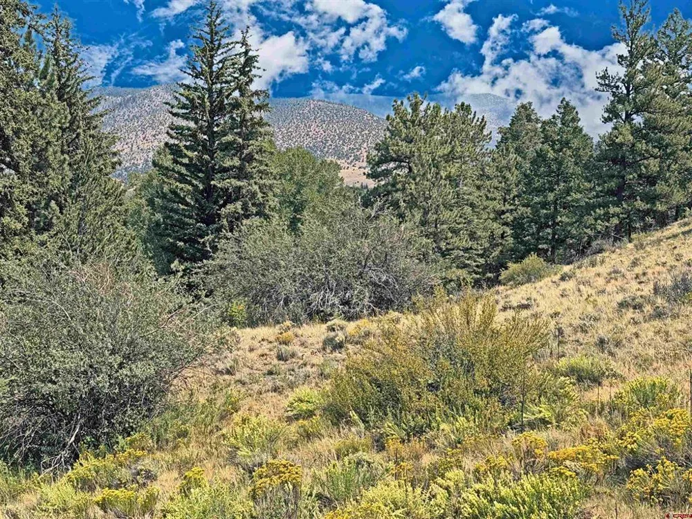 220 Escondida Drive South Fork, CO 81154