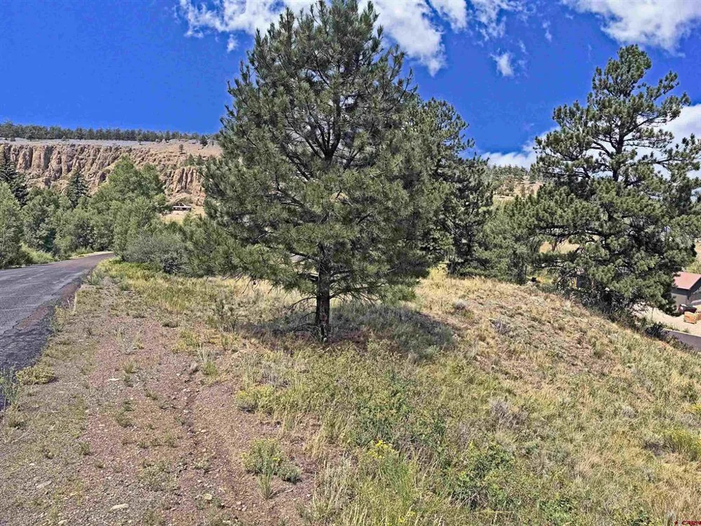 220 Escondida Drive South Fork, CO 81154