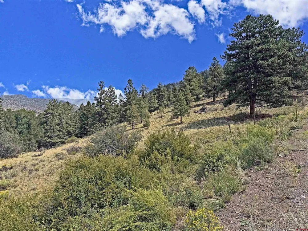 220 Escondida Drive South Fork, CO 81154