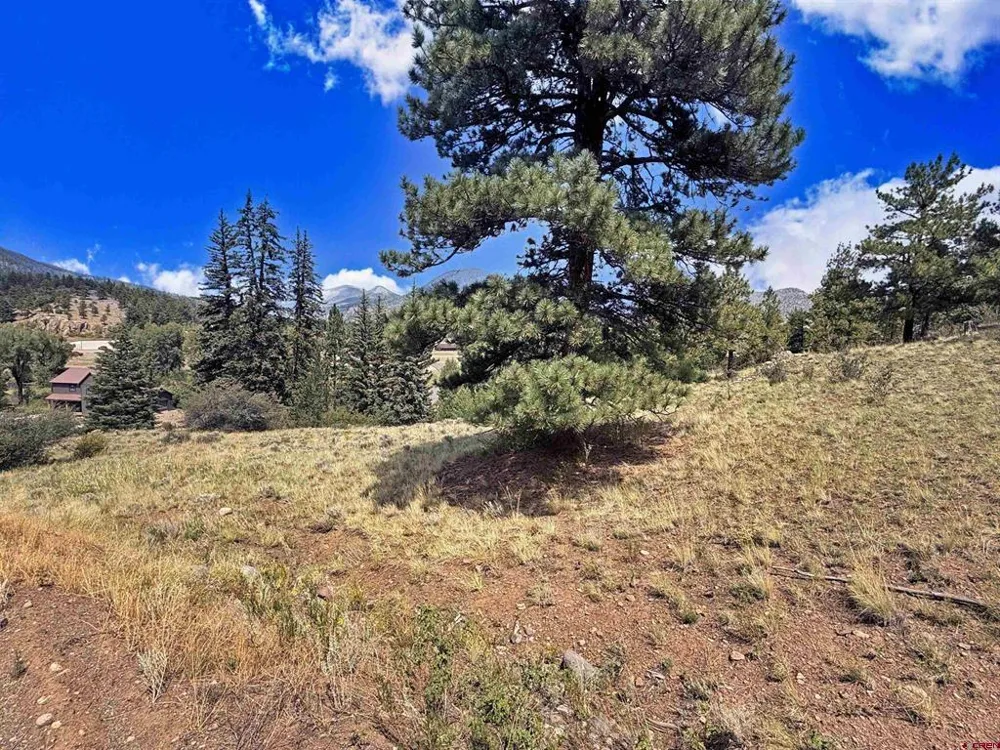 220 Escondida Drive South Fork, CO 81154