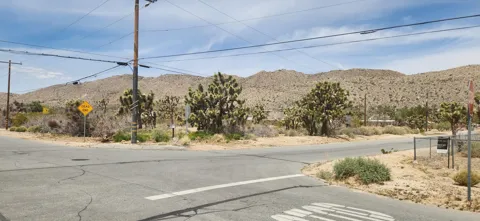 Little League Drive