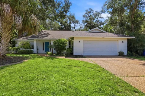4537 CHIMNEY CREEK DRIVE