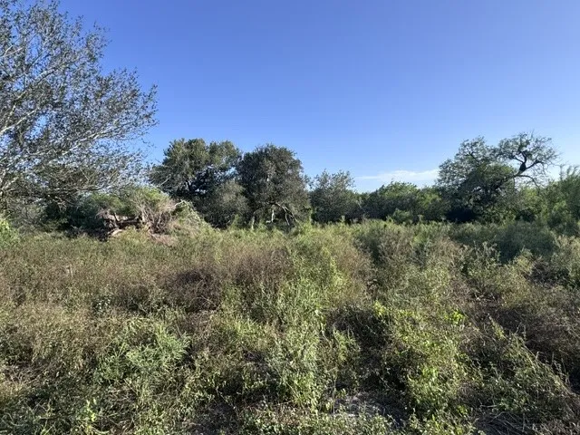 5929 Sweet Water Road Robstown, TX 78380