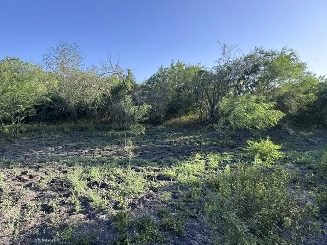 5929 Sweet Water Road Robstown, TX 78380