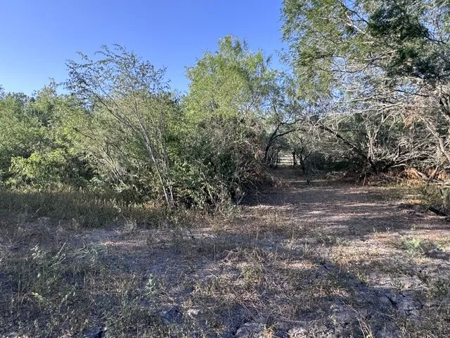 5929 Sweet Water Road Robstown, TX 78380