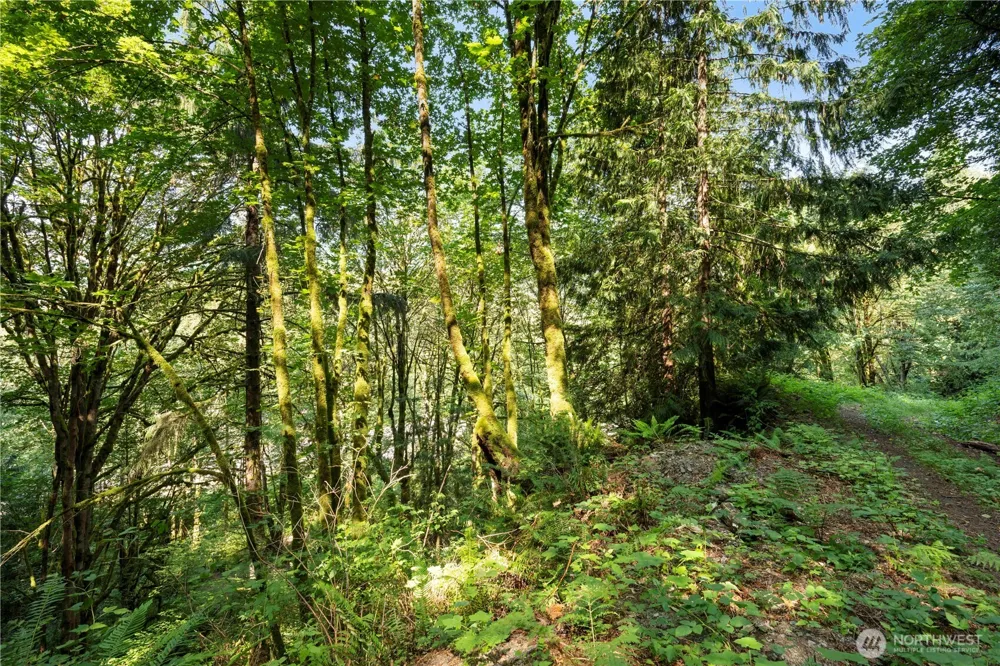 15124 State Route 530 NE Arlington, WA 98223