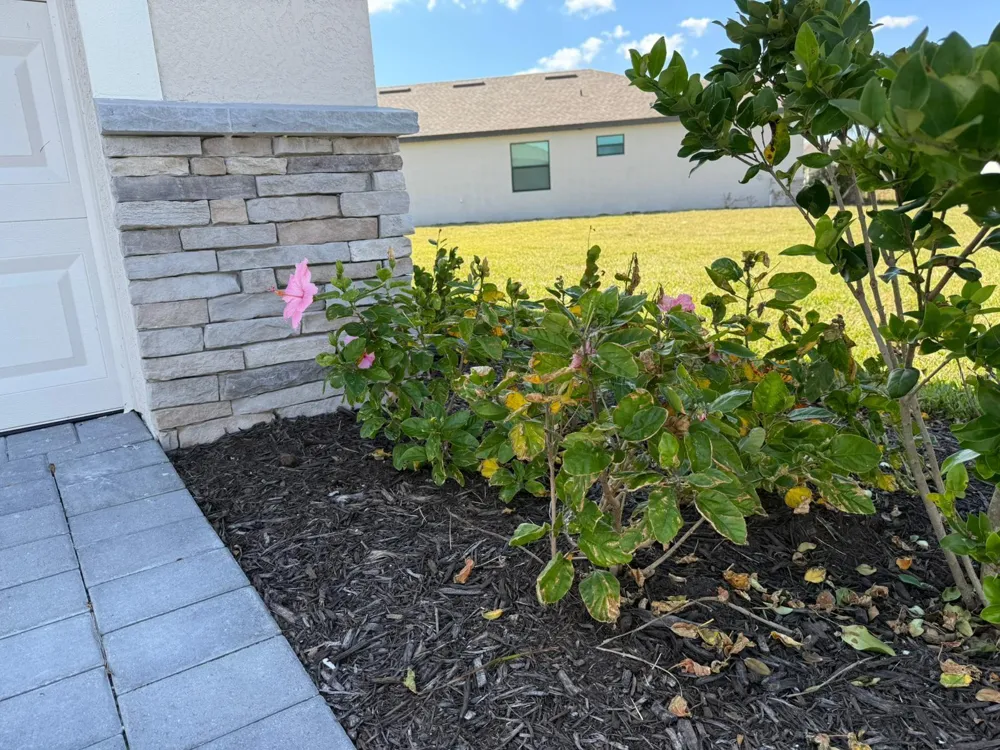 1553 SADDLEWOOD CIRCLE Port Charlotte, FL 33953