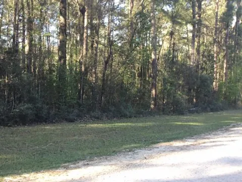 310 Johnson Drive