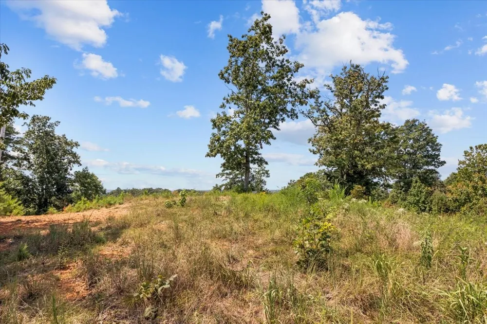 90 Float Dr Waverly, TN 37185