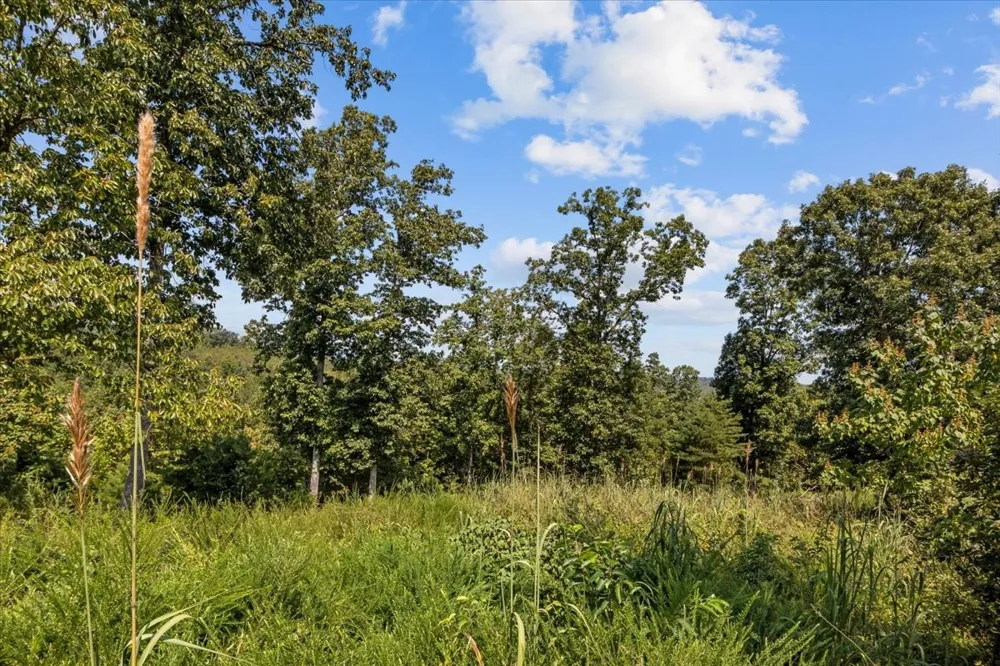 90 Float Dr Waverly, TN 37185