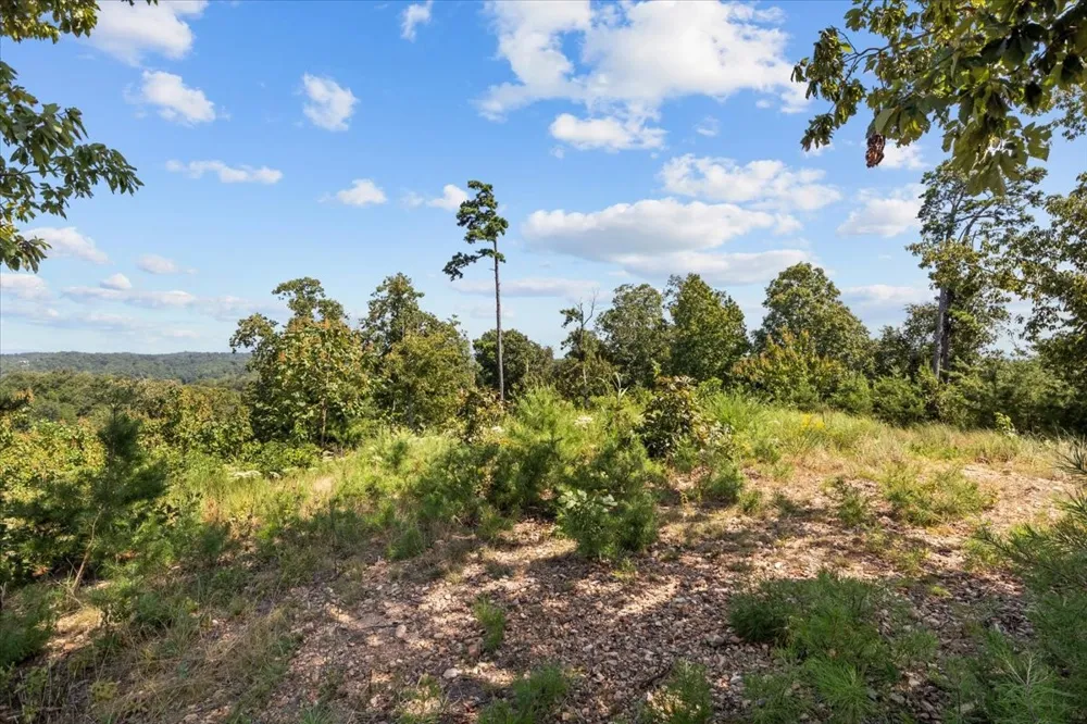 90 Float Dr Waverly, TN 37185