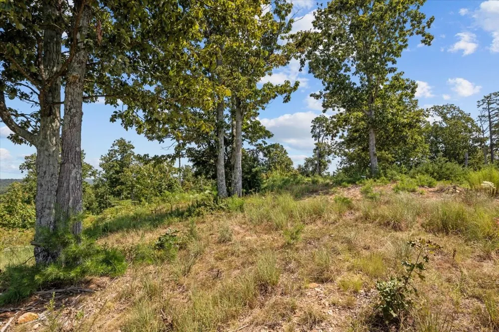 90 Float Dr Waverly, TN 37185